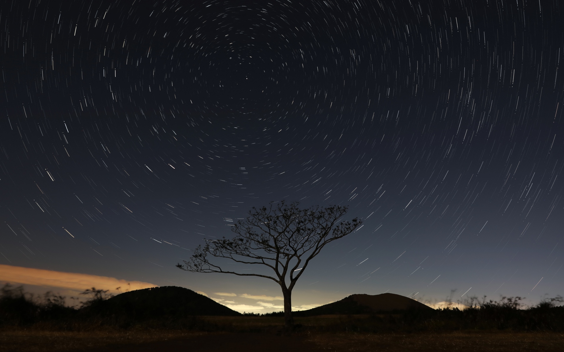 全能去水印工具有哪些？小红书、抖音、快手视频批量解析下载方法揭秘！